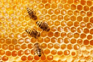 Read more about the article Major Benefits of Organic Honey You Should Know
