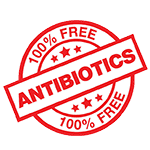 Honeyman Antibiotiec Free